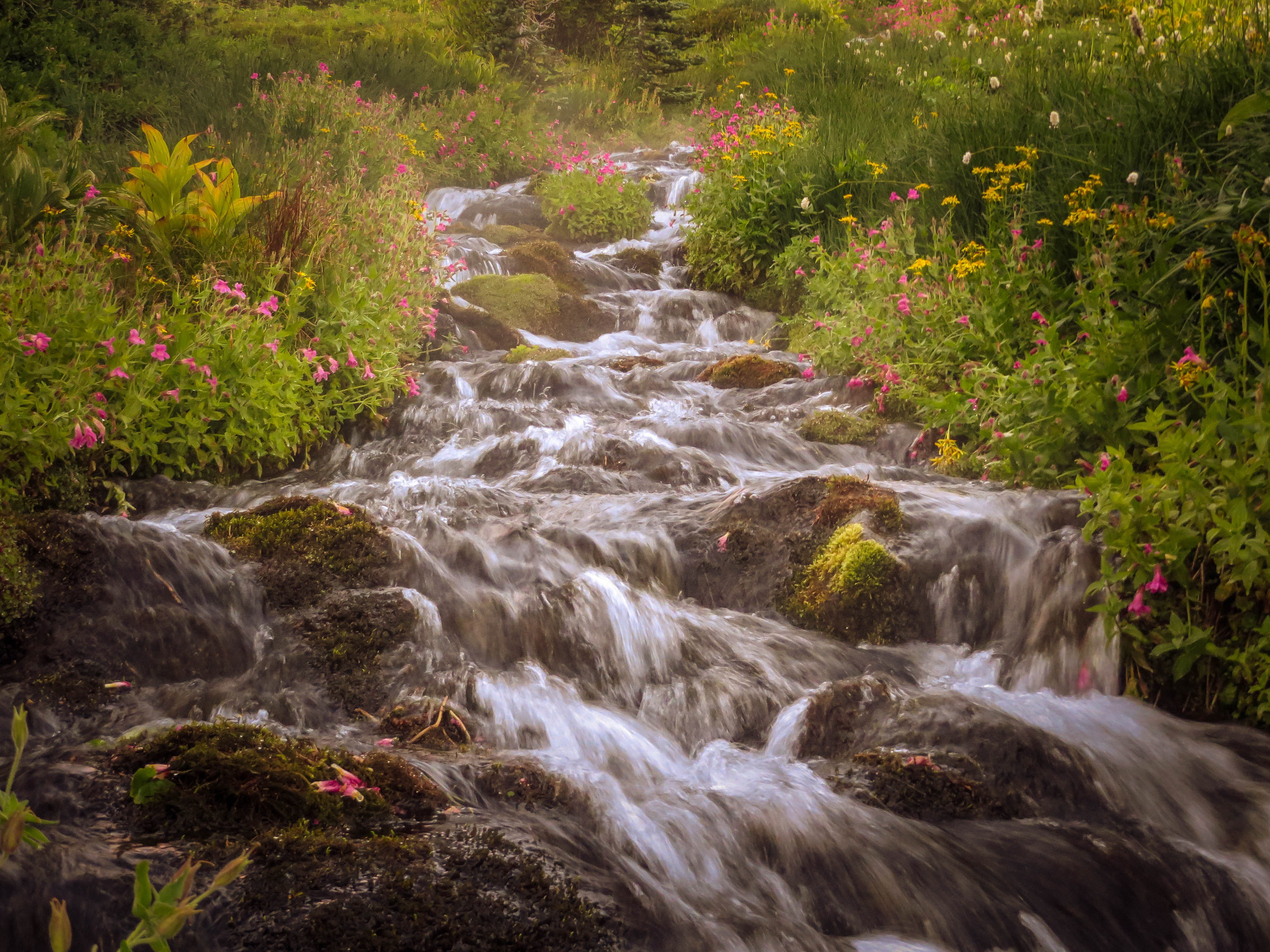 mountain stream